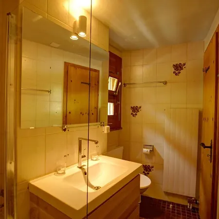 Chesa Munteratsch 2-zimmerwohnung 410 Typ E דירה סילבפלנה