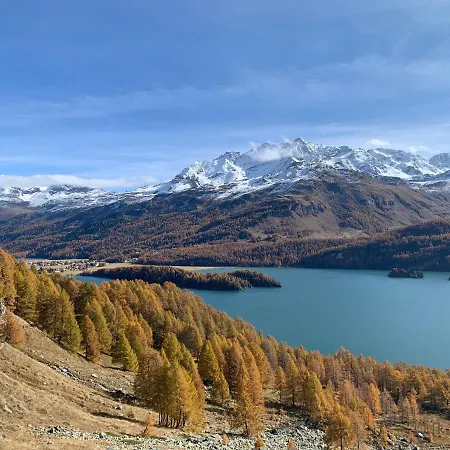 Chesa Munteratsch 2-zimmerwohnung 410 Typ E סילבפלנה