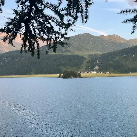 דירה Chesa Munteratsch 2-zimmerwohnung 410 Typ E *