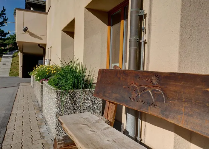 Chesa Munteratsch 2-zimmerwohnung 410 Typ E Daire Silvaplana