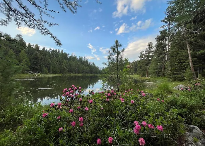Daire Chesa Munteratsch 2-zimmerwohnung 410 Typ E
