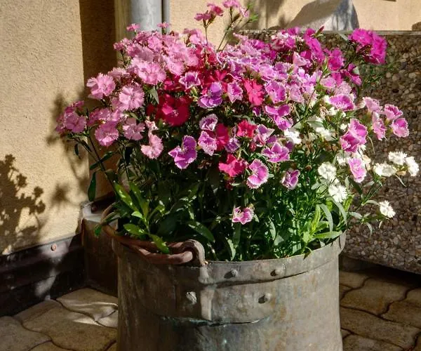 Chesa Munteratsch 2-zimmerwohnung 410 Typ E