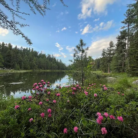 Lägenhet Chesa Munteratsch 2-zimmerwohnung 410 Typ E