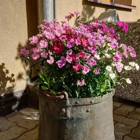 Chesa Munteratsch 2-zimmerwohnung 410 Typ E